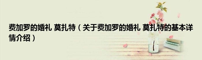 费加罗的婚礼 莫扎特（关于费加罗的婚礼 莫扎特的基本详情介绍）