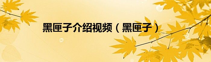黑匣子介绍视频（黑匣子）