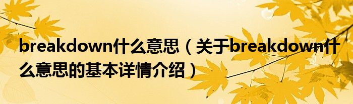 breakdown什么意思（关于breakdown什么意思的基本详情介绍）