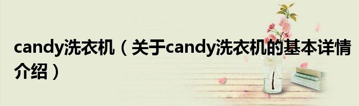 candy洗衣机（关于candy洗衣机的基本详情介绍）