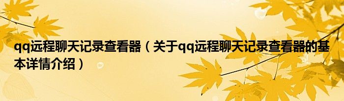 qq远程聊天记录查看器（关于qq远程聊天记录查看器的基本详情介绍）
