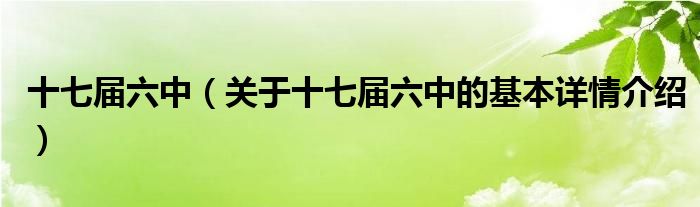 十七届六中（关于十七届六中的基本详情介绍）