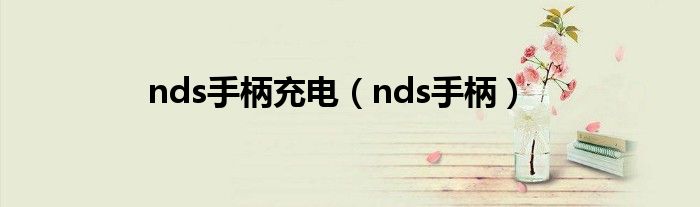 nds手柄充电（nds手柄）