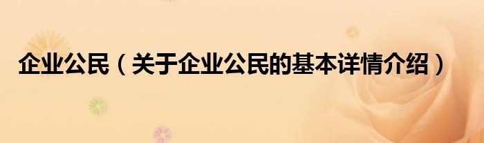企业公民（关于企业公民的基本详情介绍）