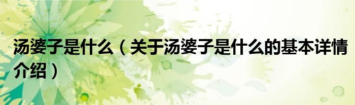 汤婆子是什么（关于汤婆子是什么的基本详情介绍）