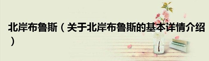 北岸布鲁斯（关于北岸布鲁斯的基本详情介绍）