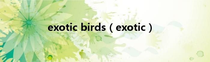 exotic birds（exotic）