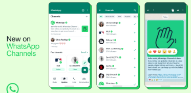Meta在全球范围内扩展WhatsApp Channels功能