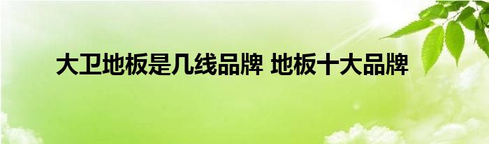 大卫地板是几线品牌 地板十大品牌