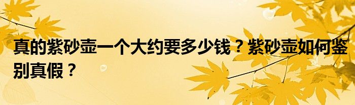 真的紫砂壶一个大约要多少钱？紫砂壶如何鉴别真假？