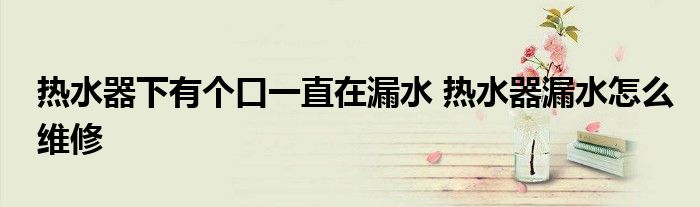热水器下有个口一直在漏水 热水器漏水怎么维修