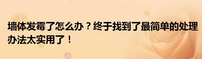 墙体发霉了怎么办？终于找到了最简单的处理办法太实用了！