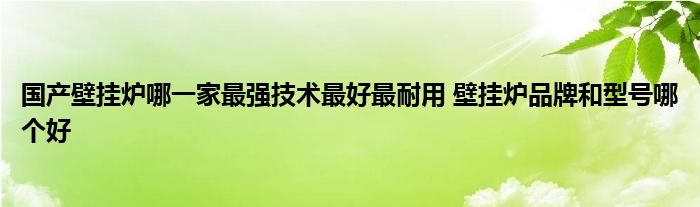 国产壁挂炉哪一家最强技术最好最耐用 壁挂炉品牌和型号哪个好