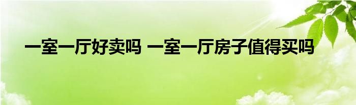 一室一厅好卖吗 一室一厅房子值得买吗