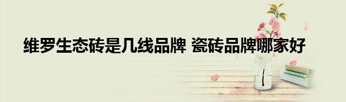 维罗生态砖是几线品牌 瓷砖品牌哪家好