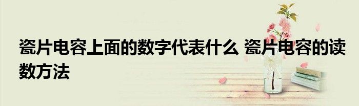瓷片电容上面的数字代表什么 瓷片电容的读数方法