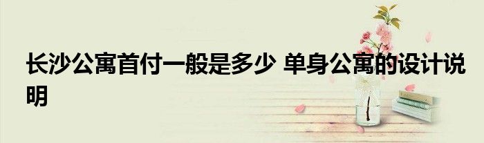 长沙公寓首付一般是多少 单身公寓的设计说明