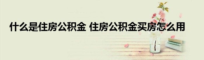 什么是住房公积金 住房公积金买房怎么用