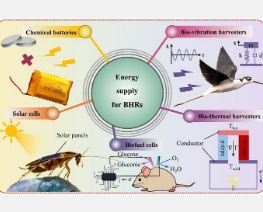 生物机混合机器人能源供应综述