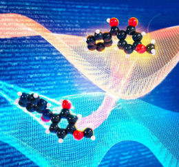 科学家获得资金来创建用于量子动力学模拟的通用软件