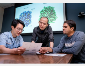 科学家揭示神经递质转运蛋白的结构