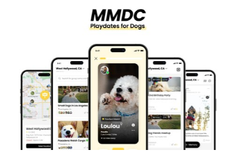 与MMDC一起发现狗狗的完美玩伴并支持狗狗收养