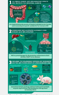 药物分析杂志上的三篇新文章证明了天然化合物治疗胃肠道疾病的潜力