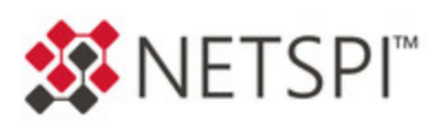 NetSPI庆祝合作伙伴计划重要的一年2023年实现30%的增长