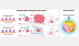 研究揭示了免疫系统在肺癌风险中的作用的新见解