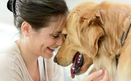 癫痫犬可以降低癫痫发作频率改善癫痫患者的 HRQoL