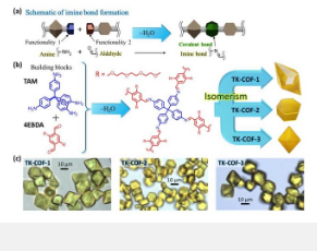 异构现象可以控制和增加共价有机框架结构的多样性新兴的纳米多孔固体
