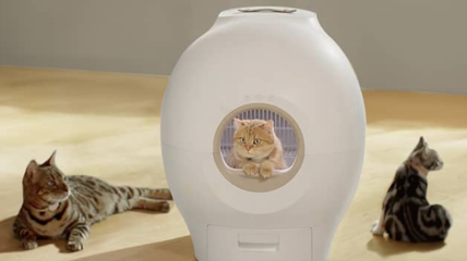 隆重推出PETGUGU世界首款智能猫冲水马桶