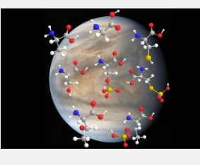 生命的组成部分在类似金星的条件下出人意料地稳定