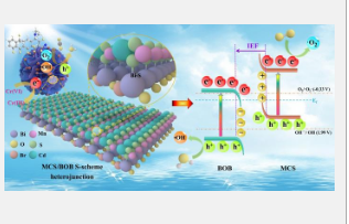 化学键合的Mn₀․₅Cd₀․₅S/BiOBrS型光催化剂具有丰富的氧空位