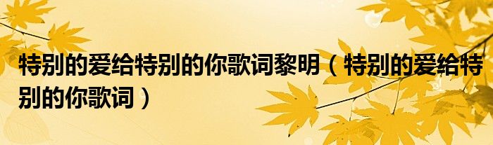 特别的爱给特别的你歌词黎明（特别的爱给特别的你歌词）