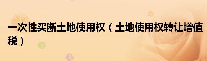 一次性买断土地使用权（土地使用权转让增值税）