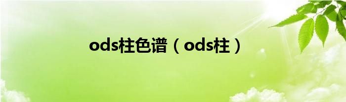 ods柱色谱（ods柱）