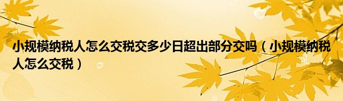 小规模纳税人怎么交税交多少日超出部分交吗（小规模纳税人怎么交税）