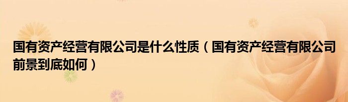 国有资产经营有限公司是什么性质（国有资产经营有限公司前景到底如何）