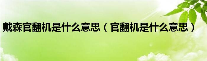 戴森官翻机是什么意思（官翻机是什么意思）