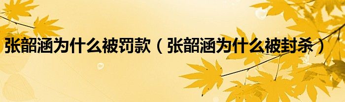 张韶涵为什么被罚款（张韶涵为什么被封杀）