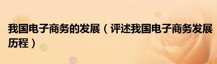 我国电子商务的发展（评述我国电子商务发展历程）