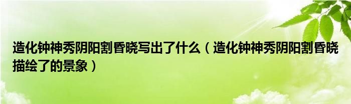 造化钟神秀阴阳割昏晓写出了什么（造化钟神秀阴阳割昏晓描绘了的景象）