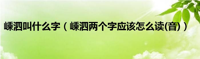 嵊泗叫什么字（嵊泗两个字应该怎么读(音)）