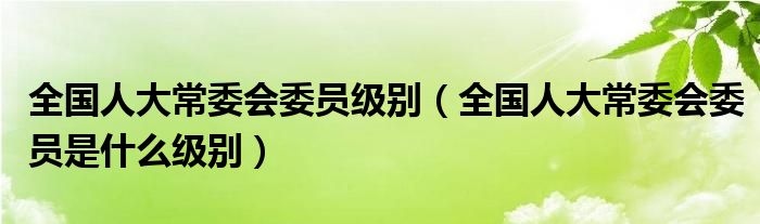 全国人大常委会委员级别（全国人大常委会委员是什么级别）