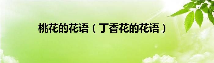 桃花的花语（丁香花的花语）
