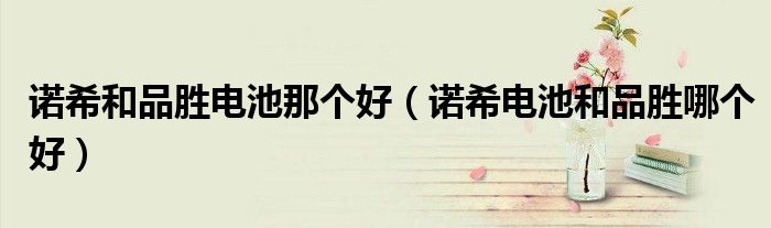 诺希和品胜电池那个好（诺希电池和品胜哪个好）