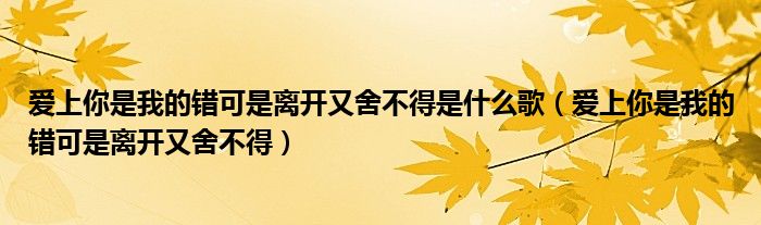 爱上你是我的错可是离开又舍不得是什么歌（爱上你是我的错可是离开又舍不得）