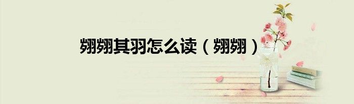 翙翙其羽怎么读（翙翙）