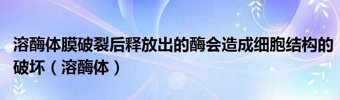 溶酶体膜破裂后释放出的酶会造成细胞结构的破坏（溶酶体）